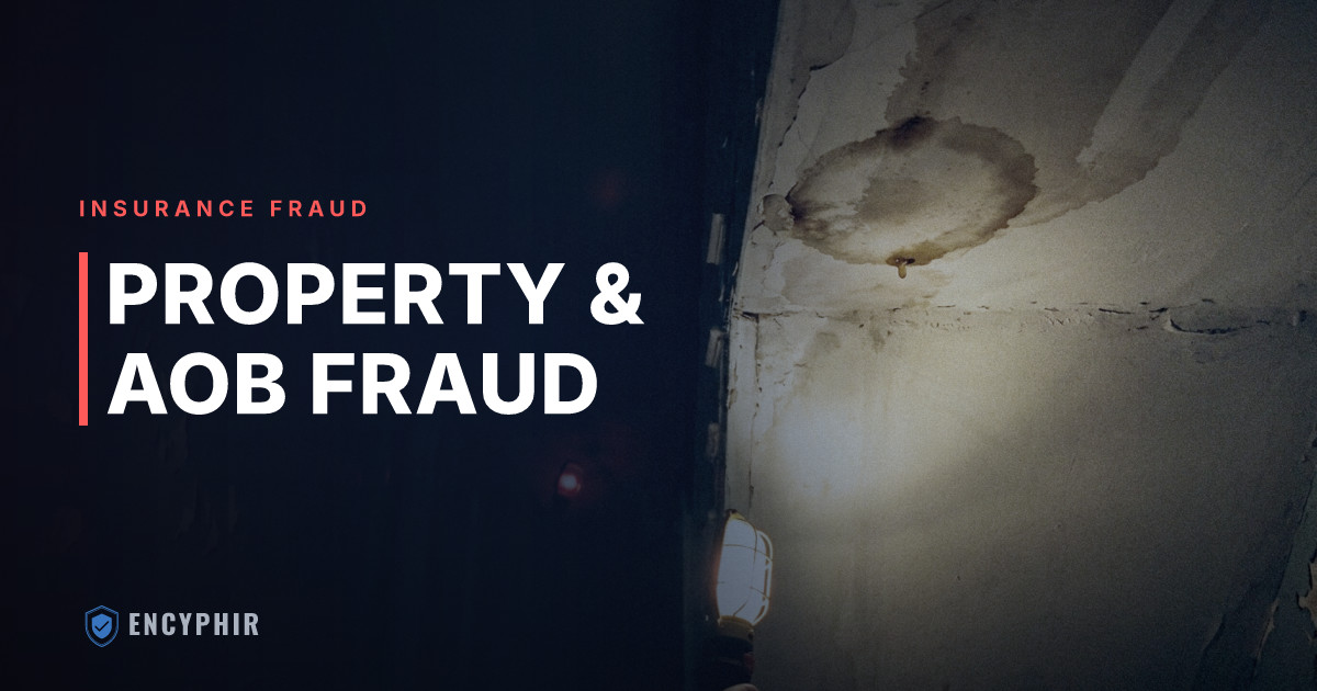Homeowners and Property Insurance Fraud: AOB, Water, and Storm Schemes